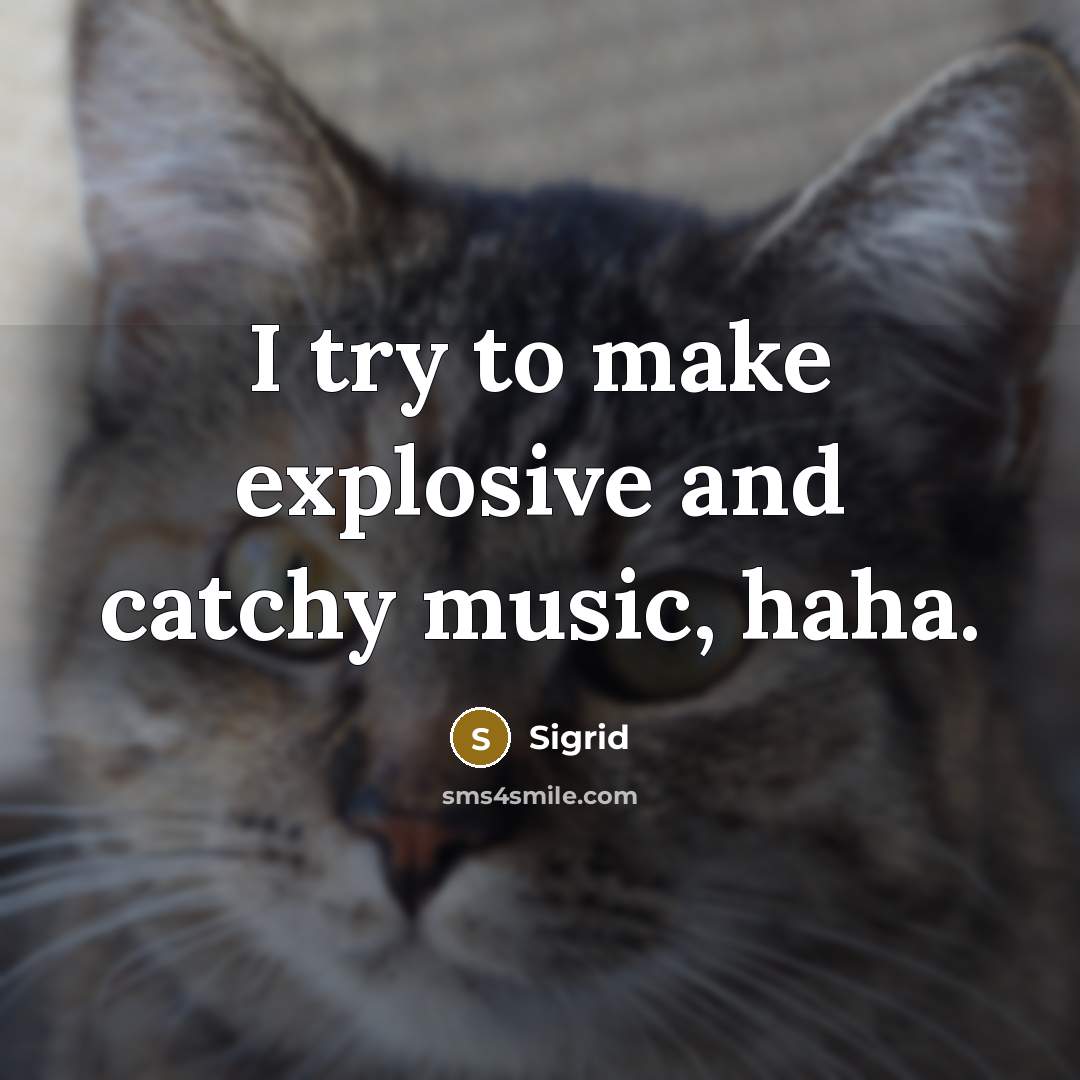 “I try to make explosive and catchy music, haha.” quote by Sigrid