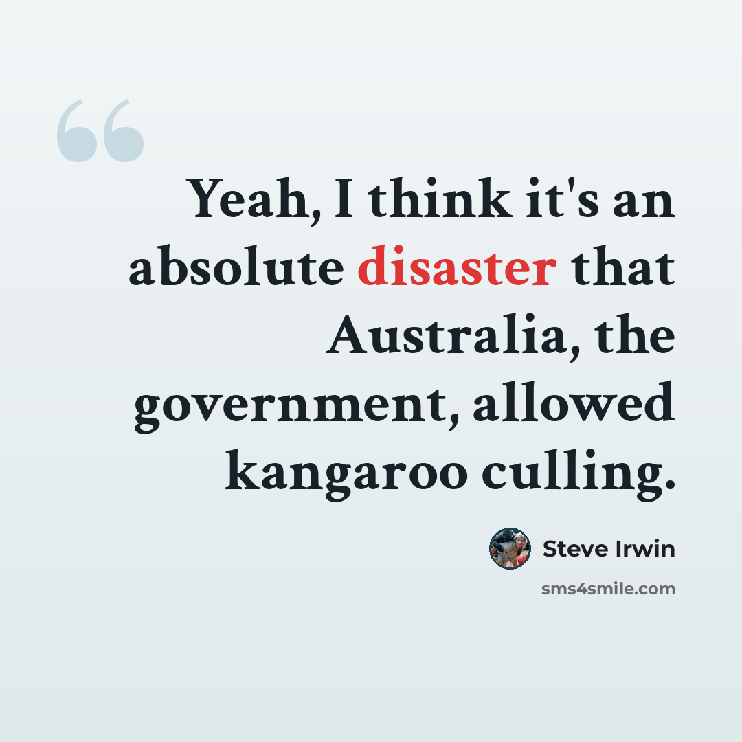 “Yeah, I think it's an absolute disaster that Australia, the government, allowed kangaroo culling.” quote by Steve Irwin