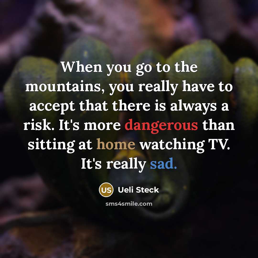 “When you go to the mountains, you really have to accept that there is always a risk. It's more dangerous than sitting at home watching TV. It's really sad.” quote by Ueli Steck