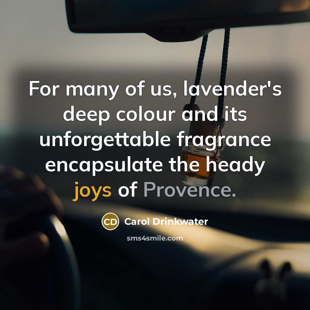 “For many of us, lavender's deep colour and its unforgettable fragrance encapsulate the heady joys of Provence.” quote by Carol Drinkwater