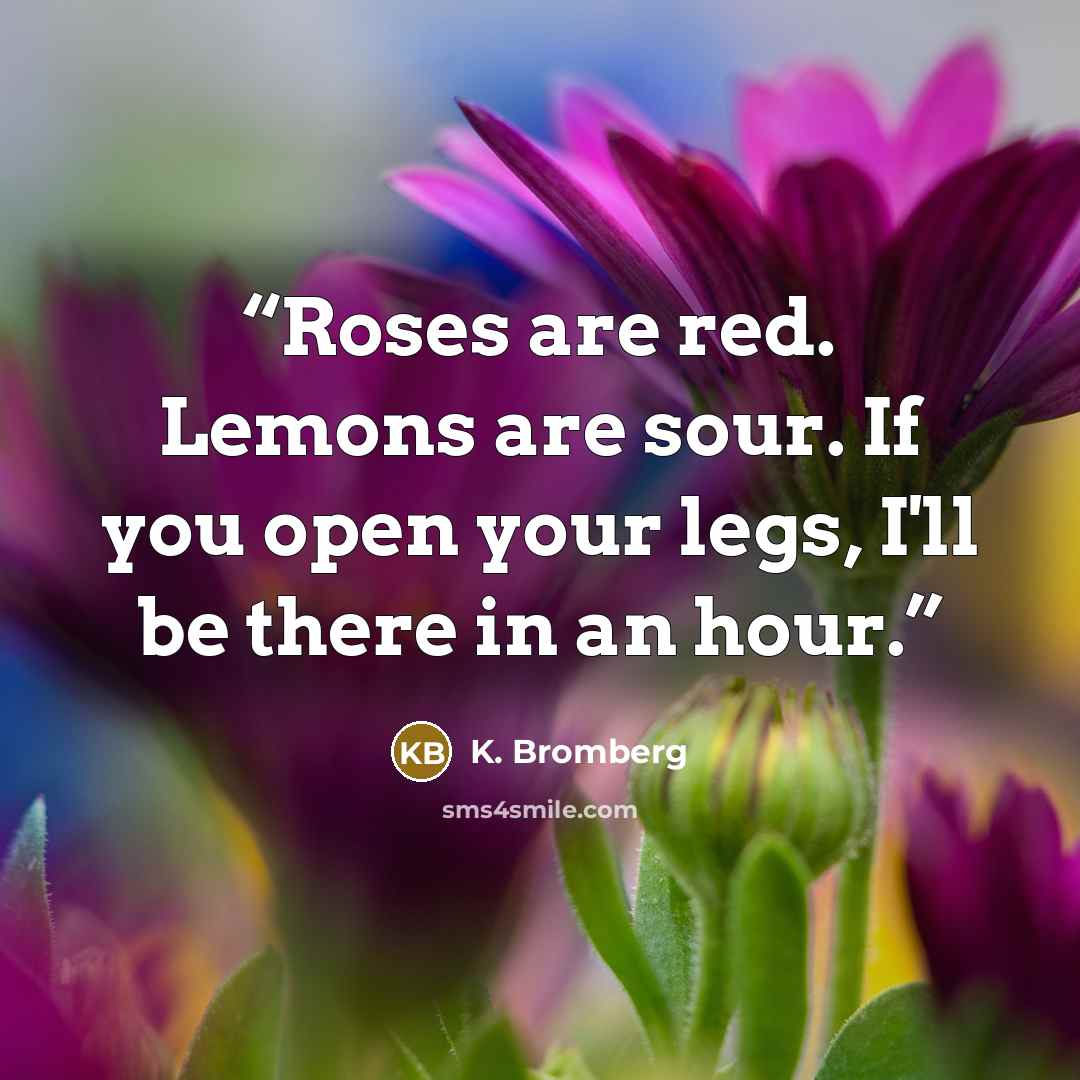 “Roses are red. Lemons are sour. If you open your legs, I'll be there in an hour.” quote by K. Bromberg