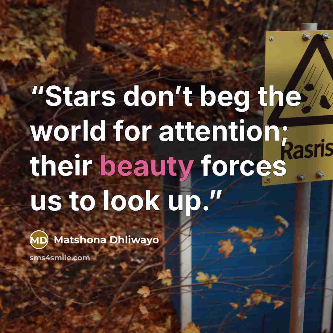 “Stars don’t beg the world for attention; their beauty forces us to look up.” quote by Matshona Dhliwayo