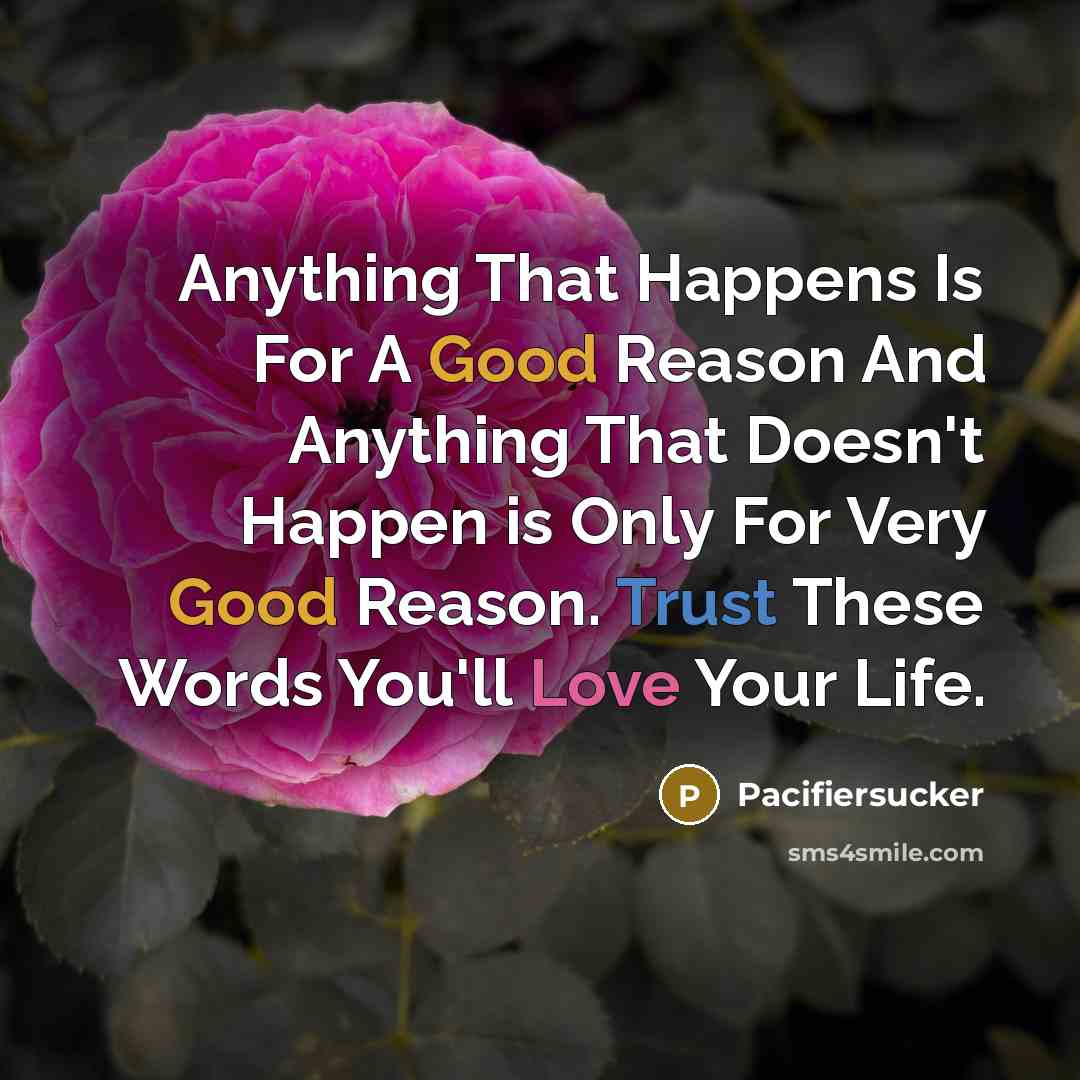 “Anything That Happens Is For A Good Reason And Anything That Doesn't Happen is Only For Very Good Reason. Trust These Words You'll Love Your Life.” quote by Pacifiersucker