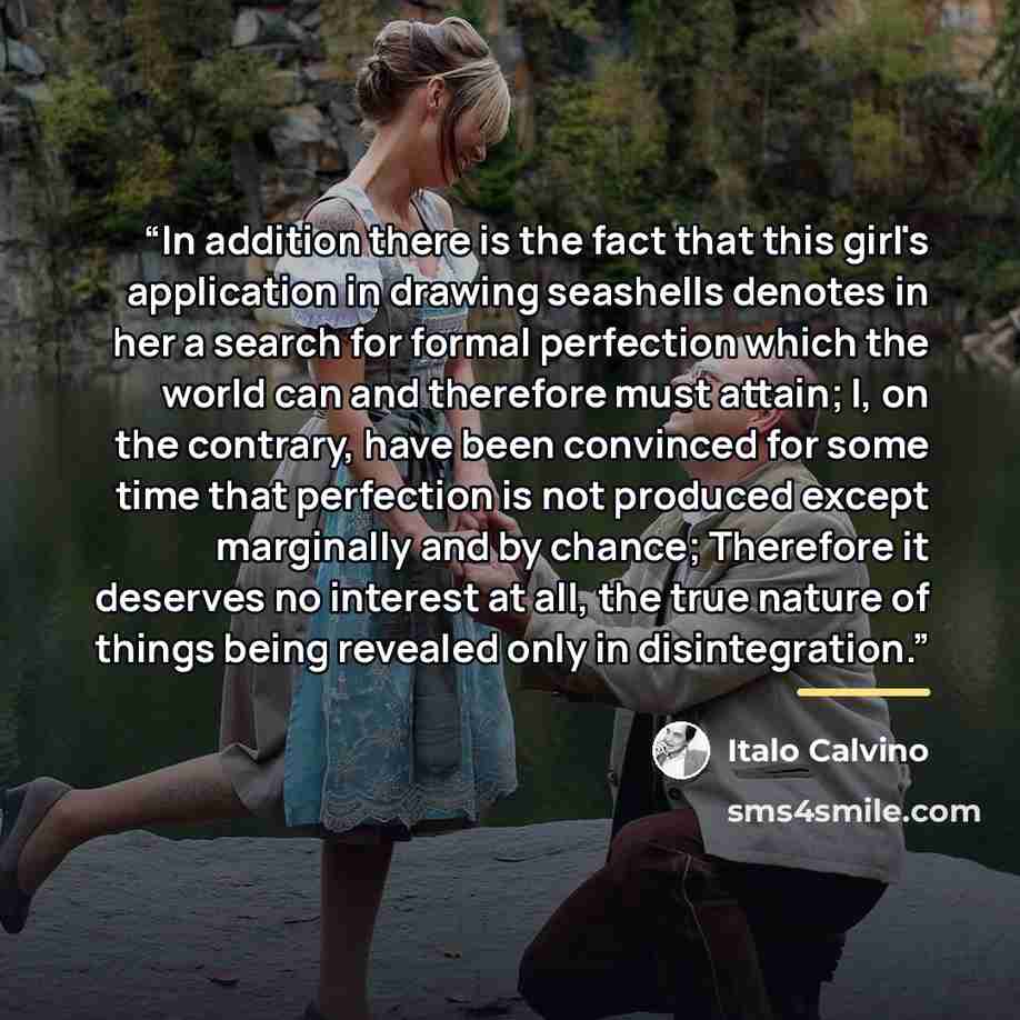 “In addition there is the fact that this girl's application in drawing seashells denotes in her a search for formal perfection which the world can and therefore must attain; I, on the contrary, have been convinced for some time that perfection is not produced except marginally and by chance…” quote by Italo Calvino