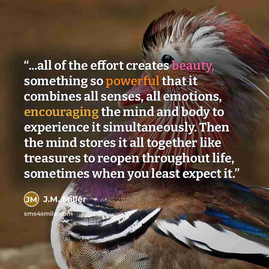 “...all of the effort creates beauty, something so powerful that it combines all senses, all emotions, encouraging the mind and body to experience it simultaneously. Then the mind stores it all together like treasures to reopen throughout life, sometimes when you least expect it.” quote by J.M. Miller