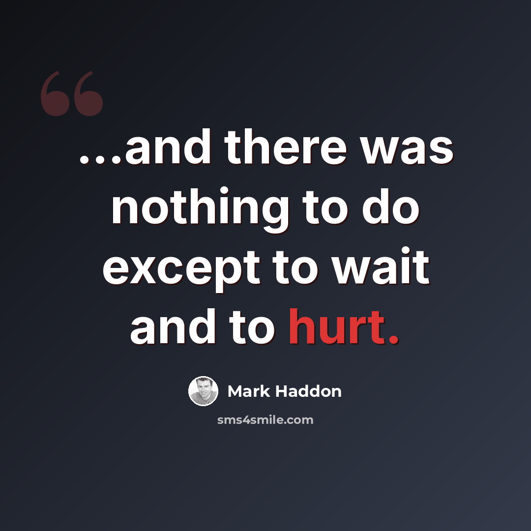 “...and there was nothing to do except to wait and to hurt.” quote by Mark Haddon