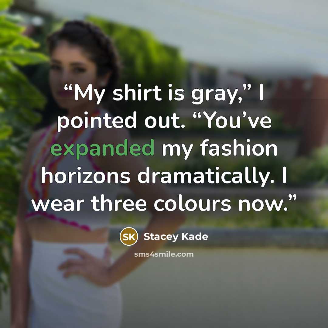 “My shirt is gray,” I pointed out. “You’ve expanded my fashion horizons dramatically. I wear three colours now.” quote by Stacey Kade