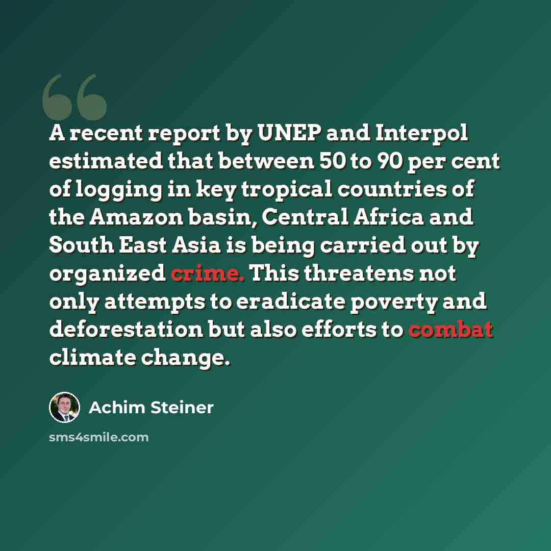 “A recent report by UNEP and Interpol estimated that between 50 to 90 per cent of logging in key tropical countries of the Amazon basin, Central Africa and South East Asia is being carried out by organized crime. This threatens not only attempts to eradicate poverty and deforestation but also…” quote by Achim Steiner