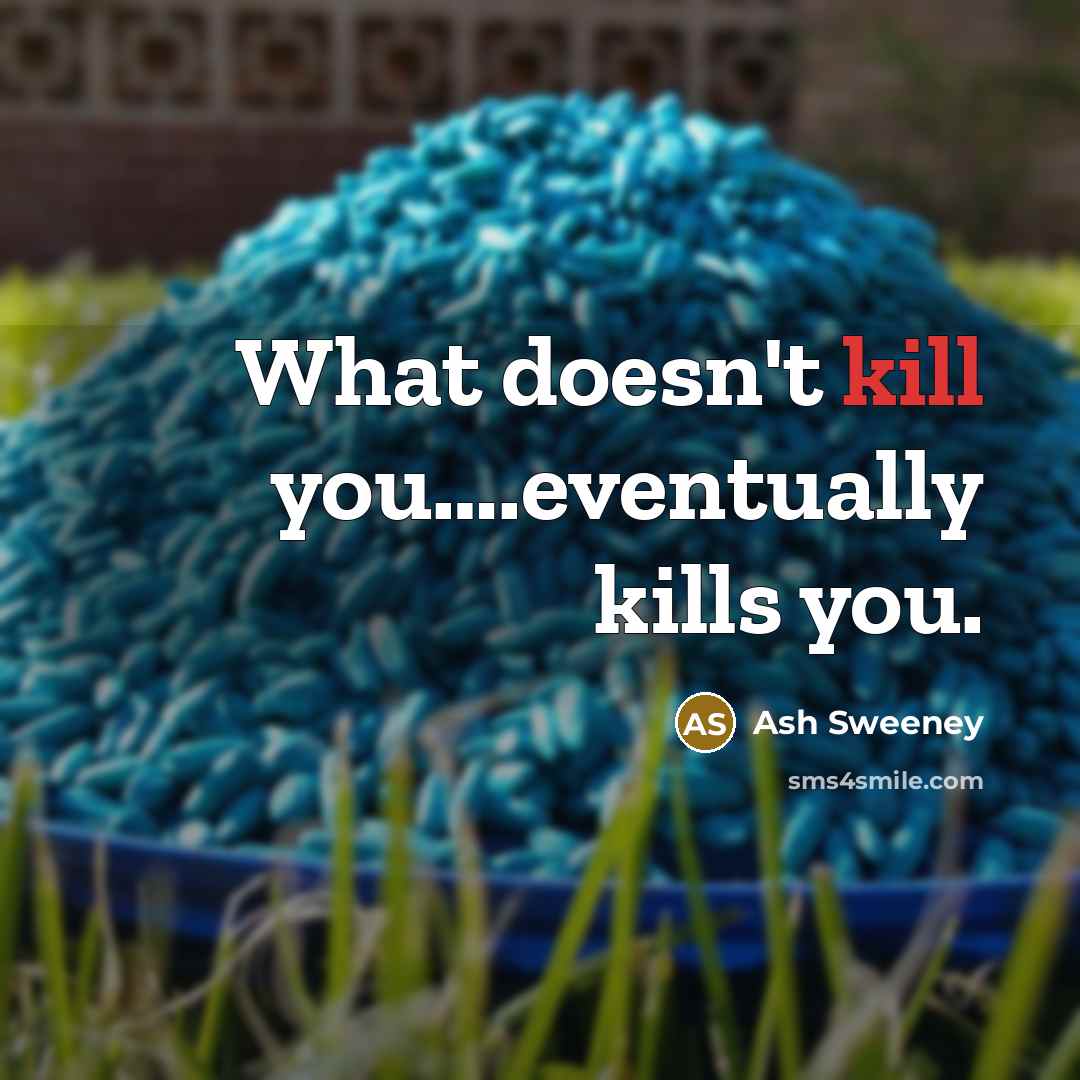 “What doesn't kill you….eventually kills you.” quote by Ash Sweeney