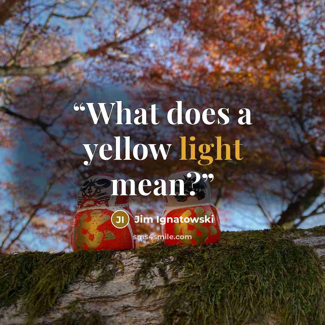 “What does a yellow light mean?” quote by Jim Ignatowski