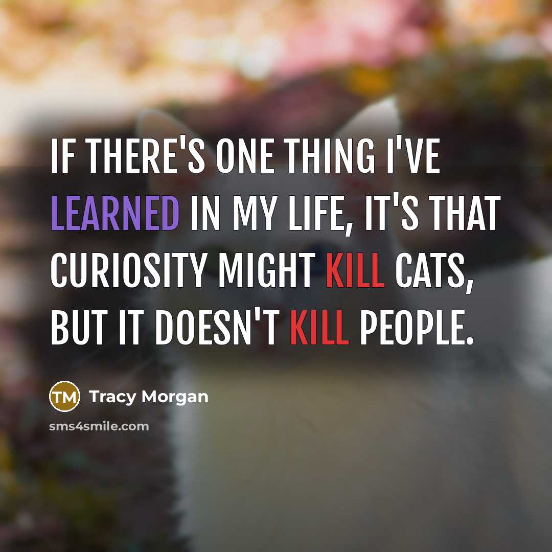 “If there's one thing I've learned in my life, it's that curiosity might kill cats, but it doesn't kill people.” quote by Tracy Morgan