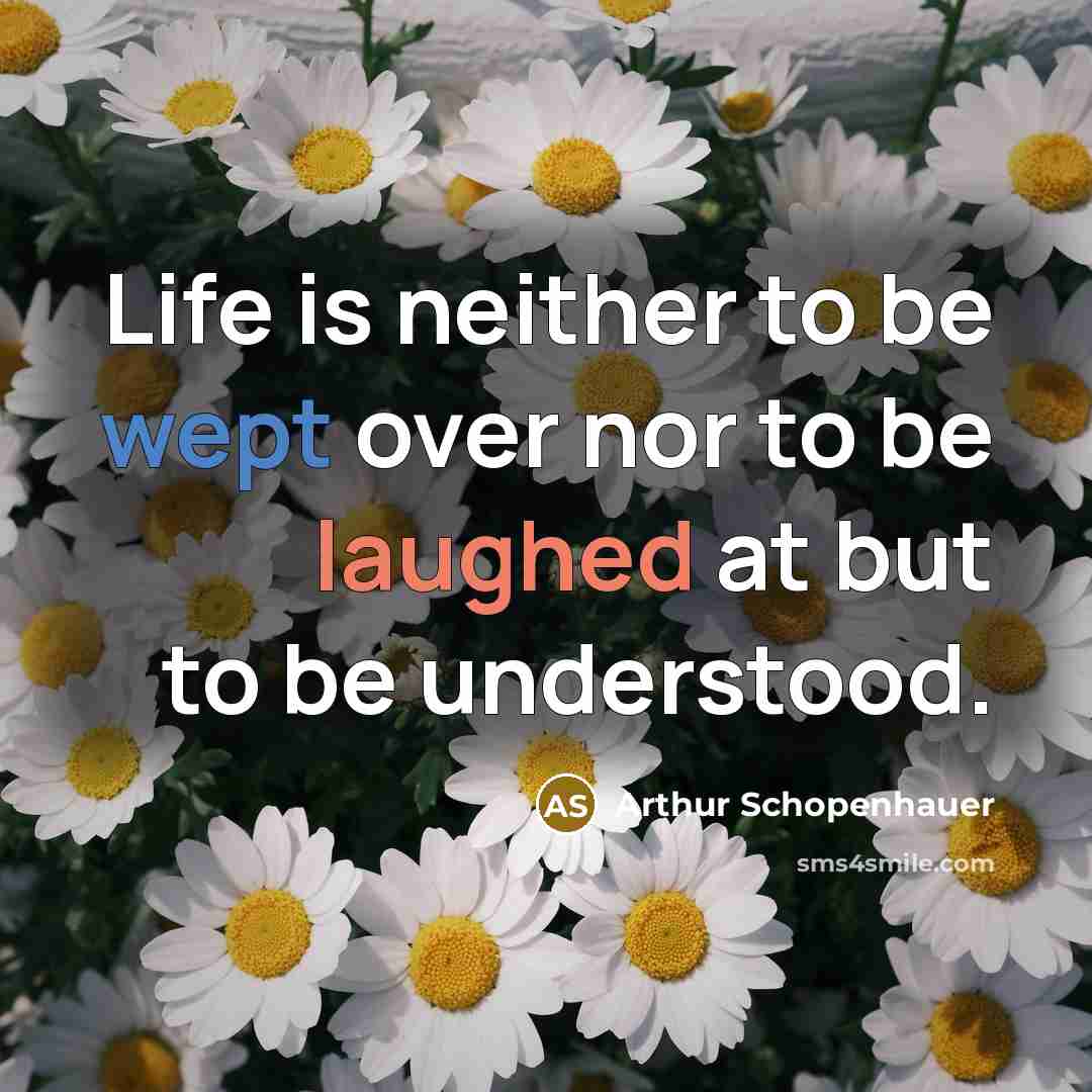“Life is neither to be wept over nor to be laughed at but to be understood.” quote by Arthur Schopenhauer
