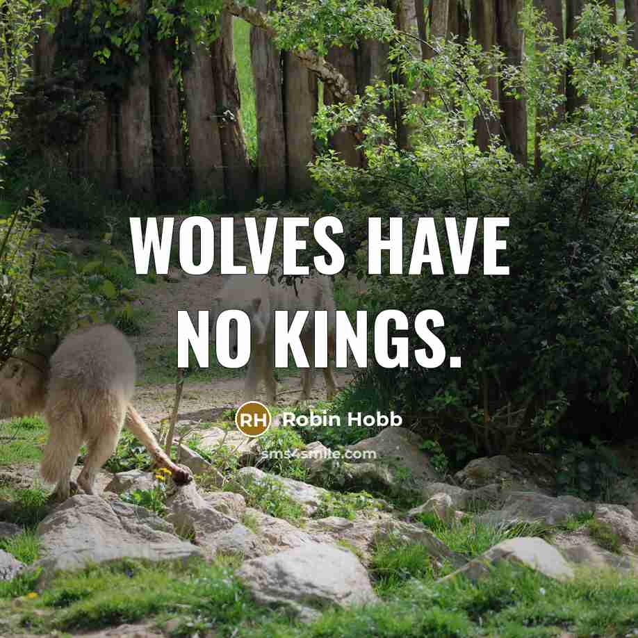 “Wolves have no kings.” quote by Robin Hobb