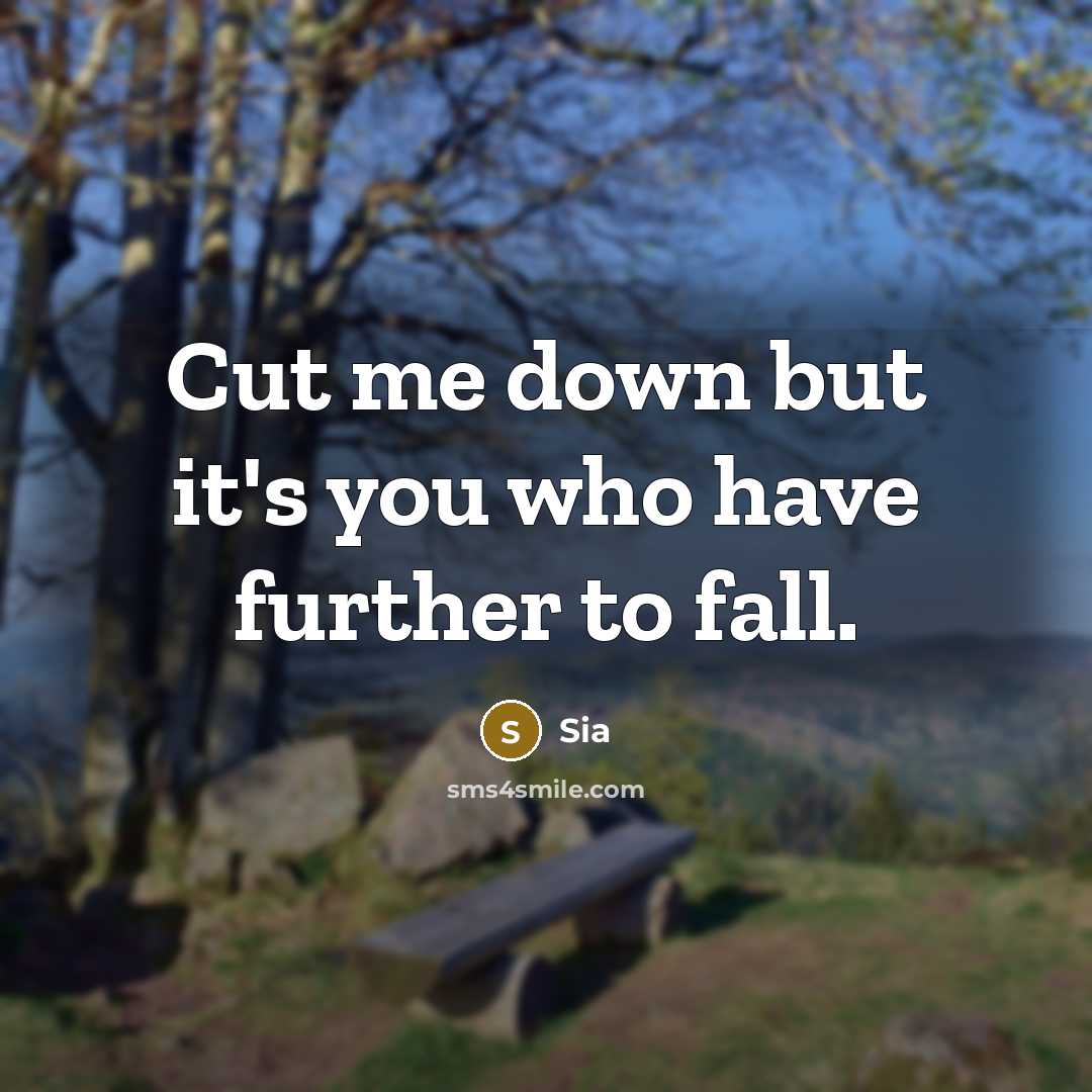 “Cut me down but it's you who have further to fall.” quote by Sia