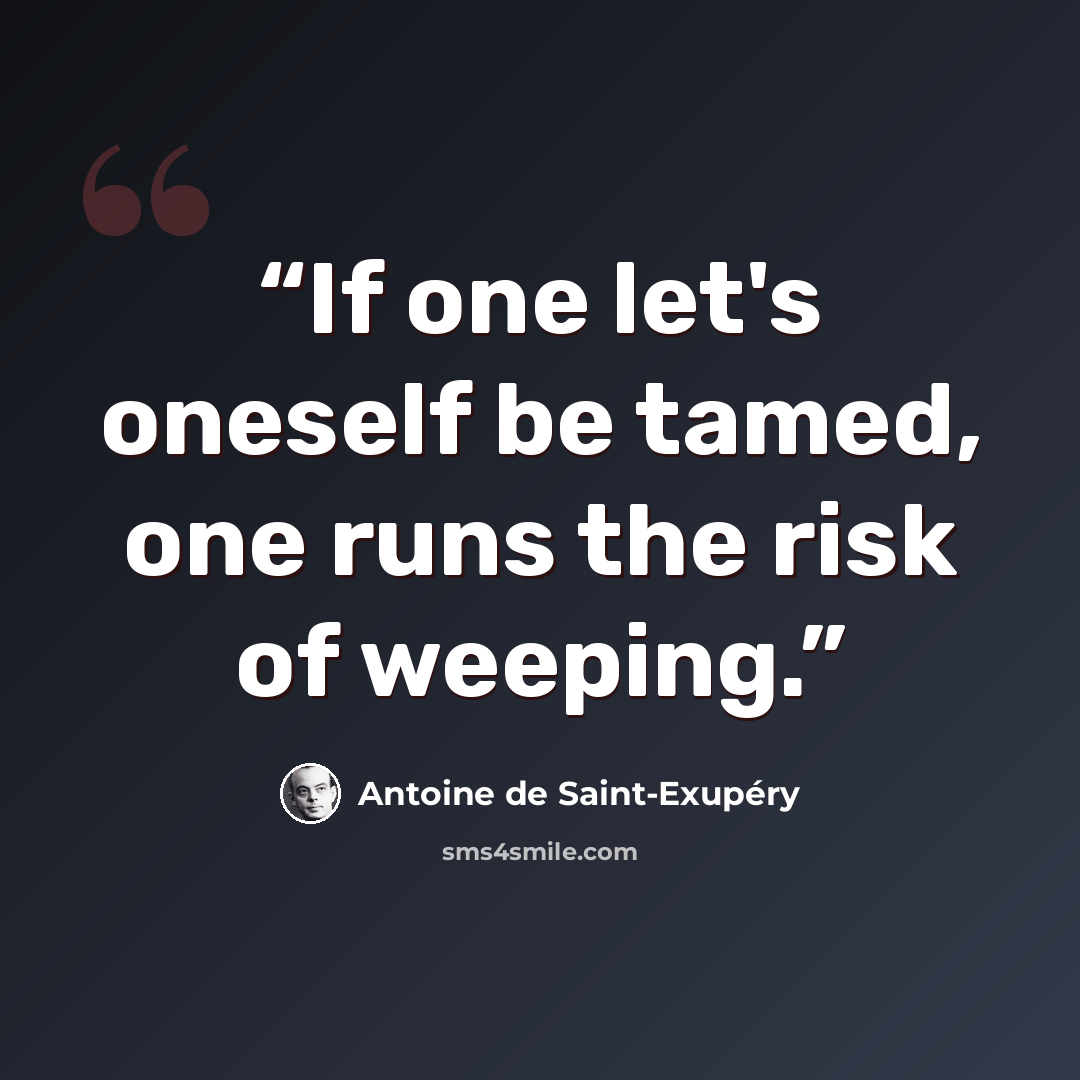 “If one let's oneself be tamed, one runs the risk of weeping.” quote by Antoine de Saint-Exupéry