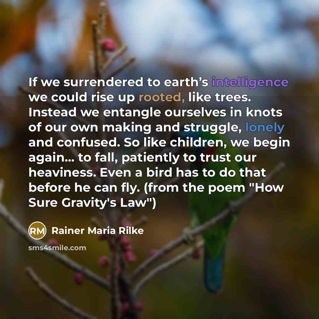 “If we surrendered to earth’s intelligence we could rise up rooted, like trees. Instead we entangle ourselves in knots of our own making and struggle, lonely and confused. So like children, we begin again... to fall, patiently to trust our heaviness. Even a bird has to do that before he can fly…” quote by Rainer Maria Rilke