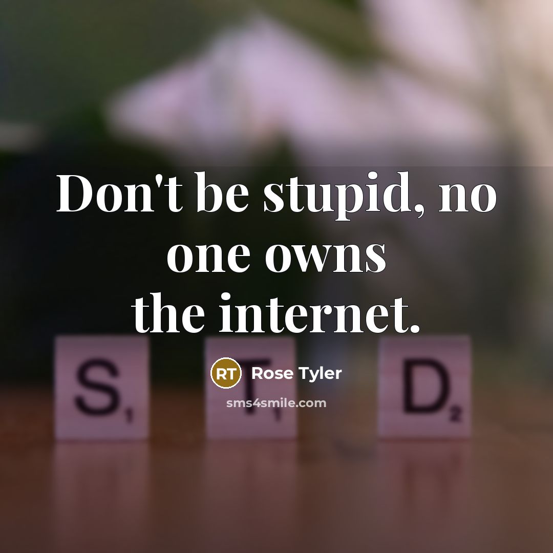 “Don't be stupid, no one owns the internet.” quote by Rose Tyler