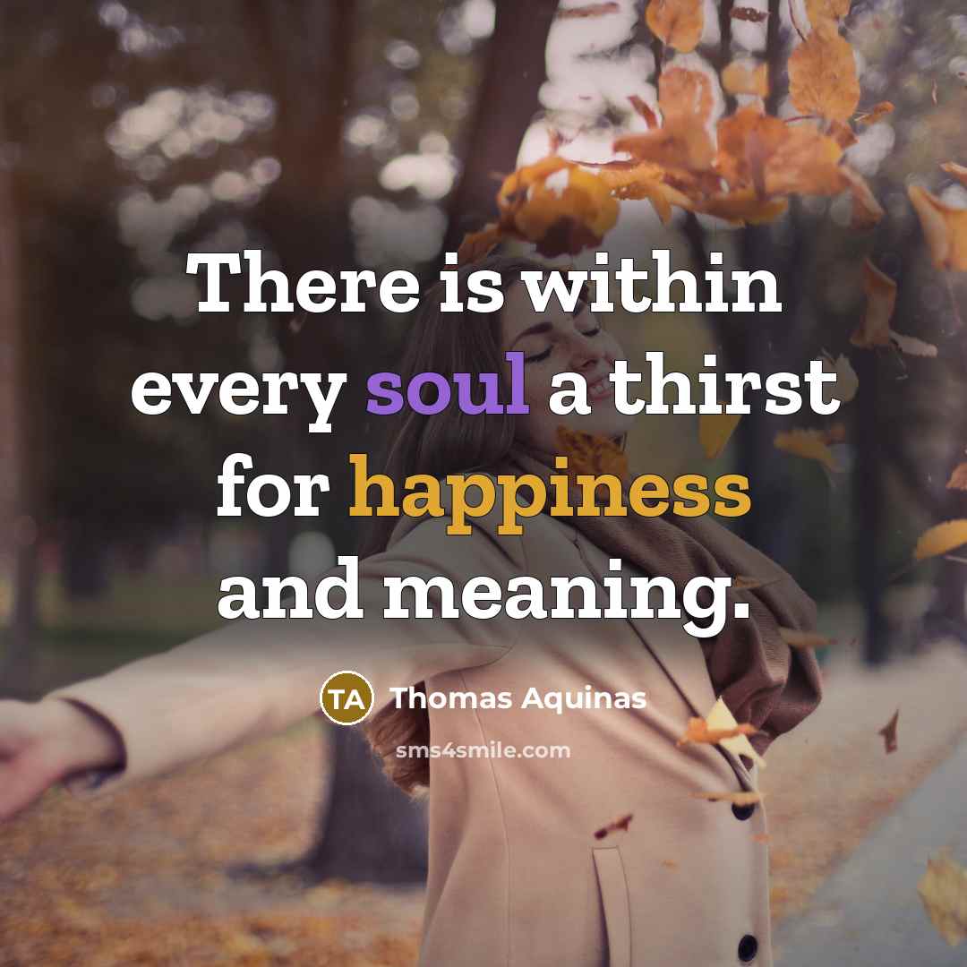 “There is within every soul a thirst for happiness and meaning.” quote by Thomas Aquinas