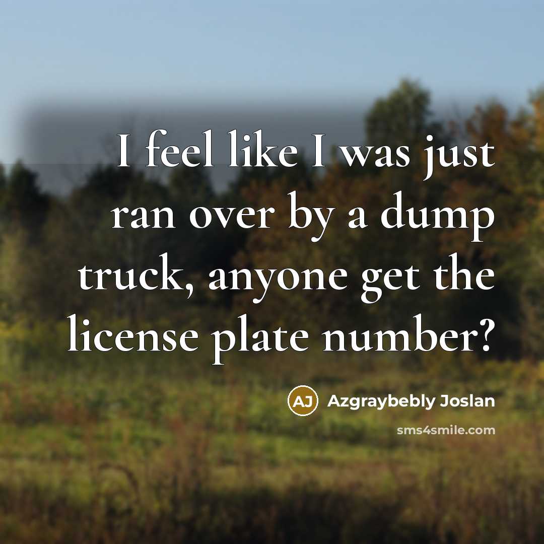“I feel like I was just ran over by a dump truck, anyone get the license plate number?” quote by Azgraybebly Joslan