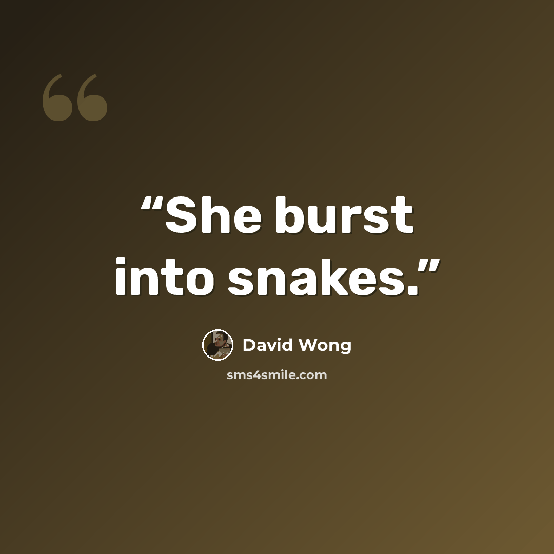 “She burst into snakes.” quote by David Wong
