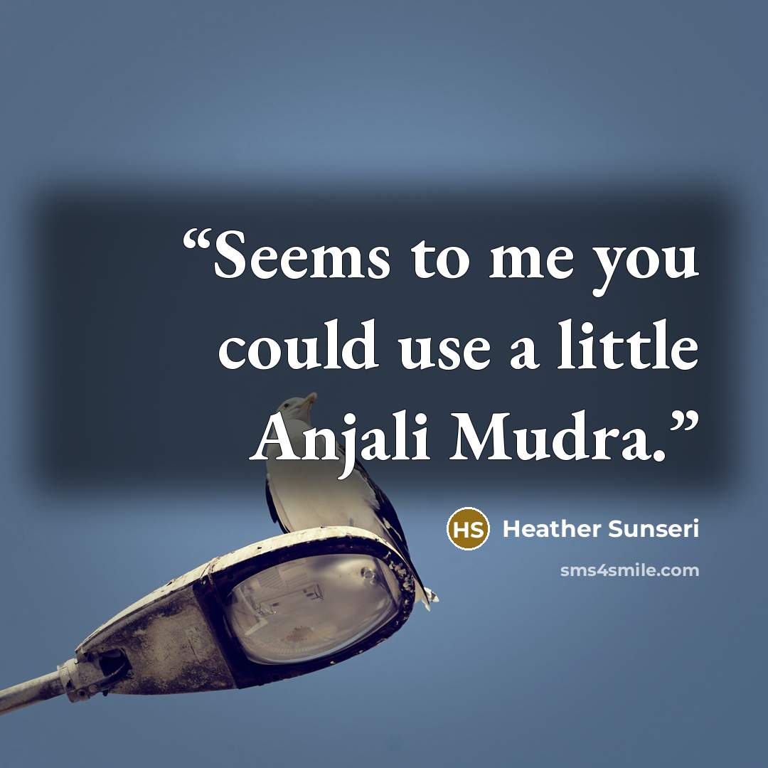 “Seems to me you could use a little Anjali Mudra.” quote by Heather Sunseri