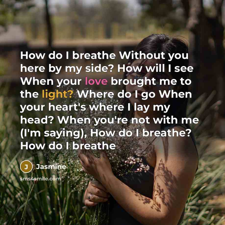 “How do I breathe Without you here by my side? How will I see When your love brought me to the light? Where do I go When your heart's where I lay my head? When you're not with me (I'm saying), How do I breathe? How do I breathe” quote by Jasmine