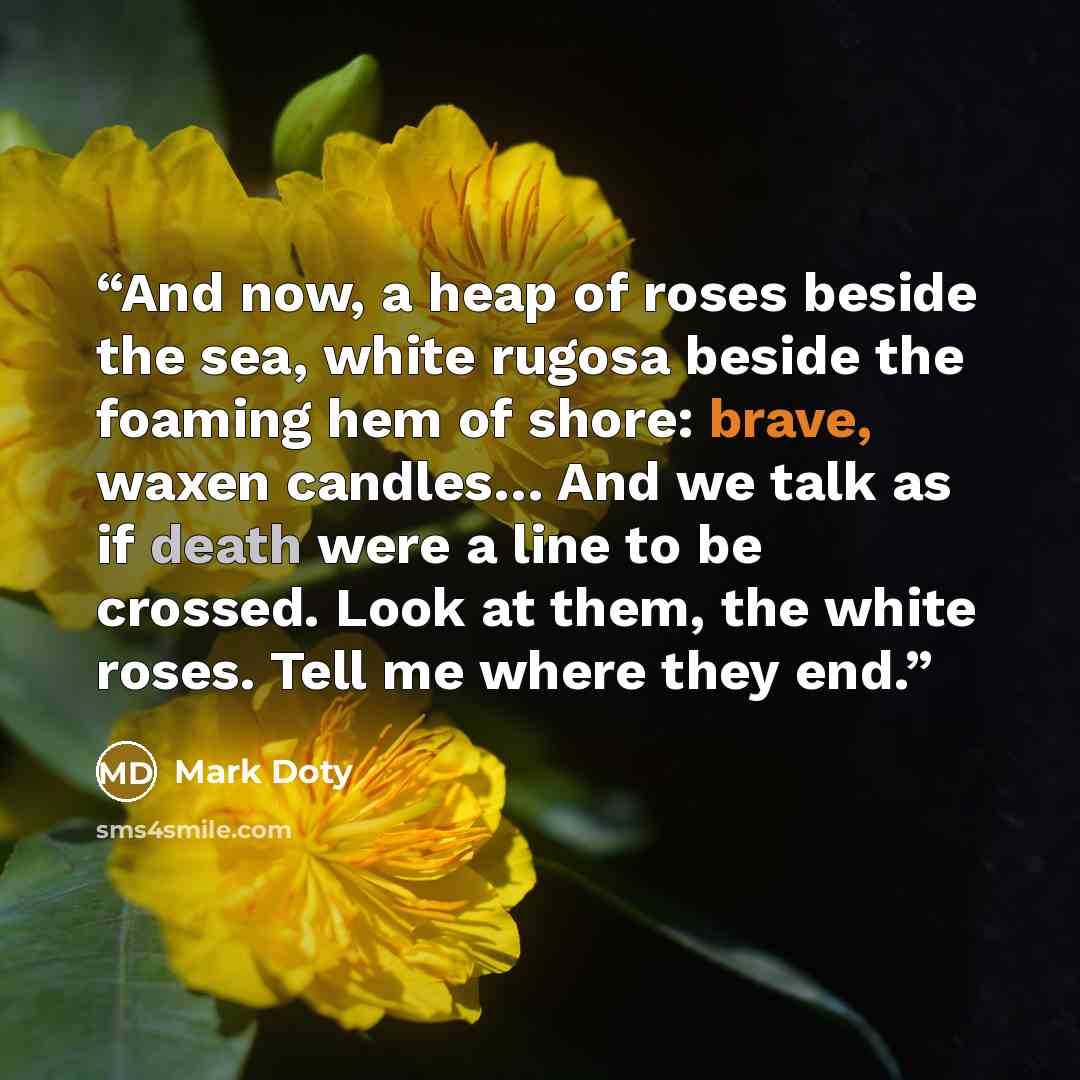 “And now, a heap of roses beside the sea, white rugosa beside the foaming hem of shore: brave, waxen candles… And we talk as if death were a line to be crossed. Look at them, the white roses. Tell me where they end.” quote by Mark Doty