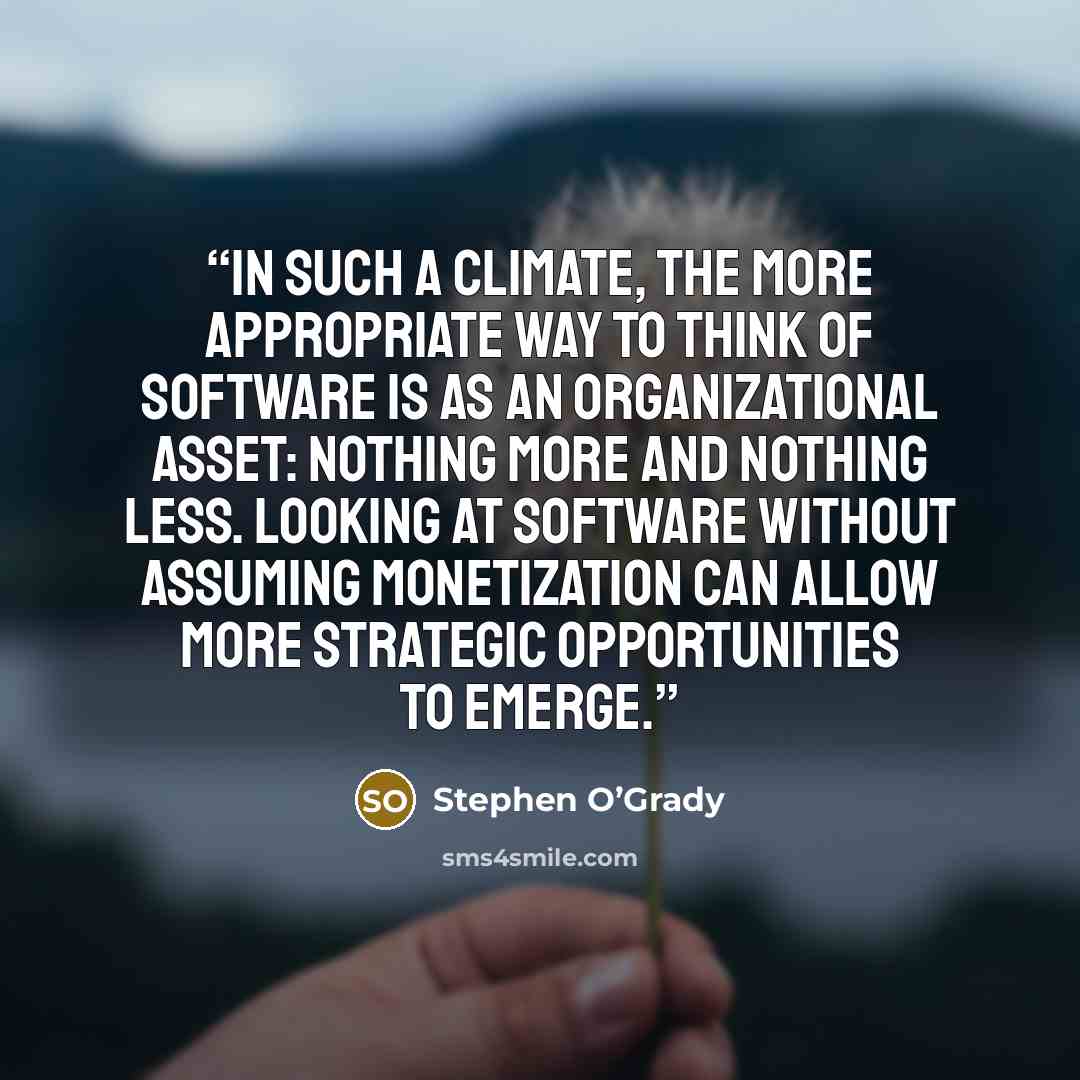 “In such a climate, the more appropriate way to think of software is as an organizational asset: nothing more and nothing less. Looking at software without assuming monetization can allow more strategic opportunities to emerge.” quote by Stephen O’Grady