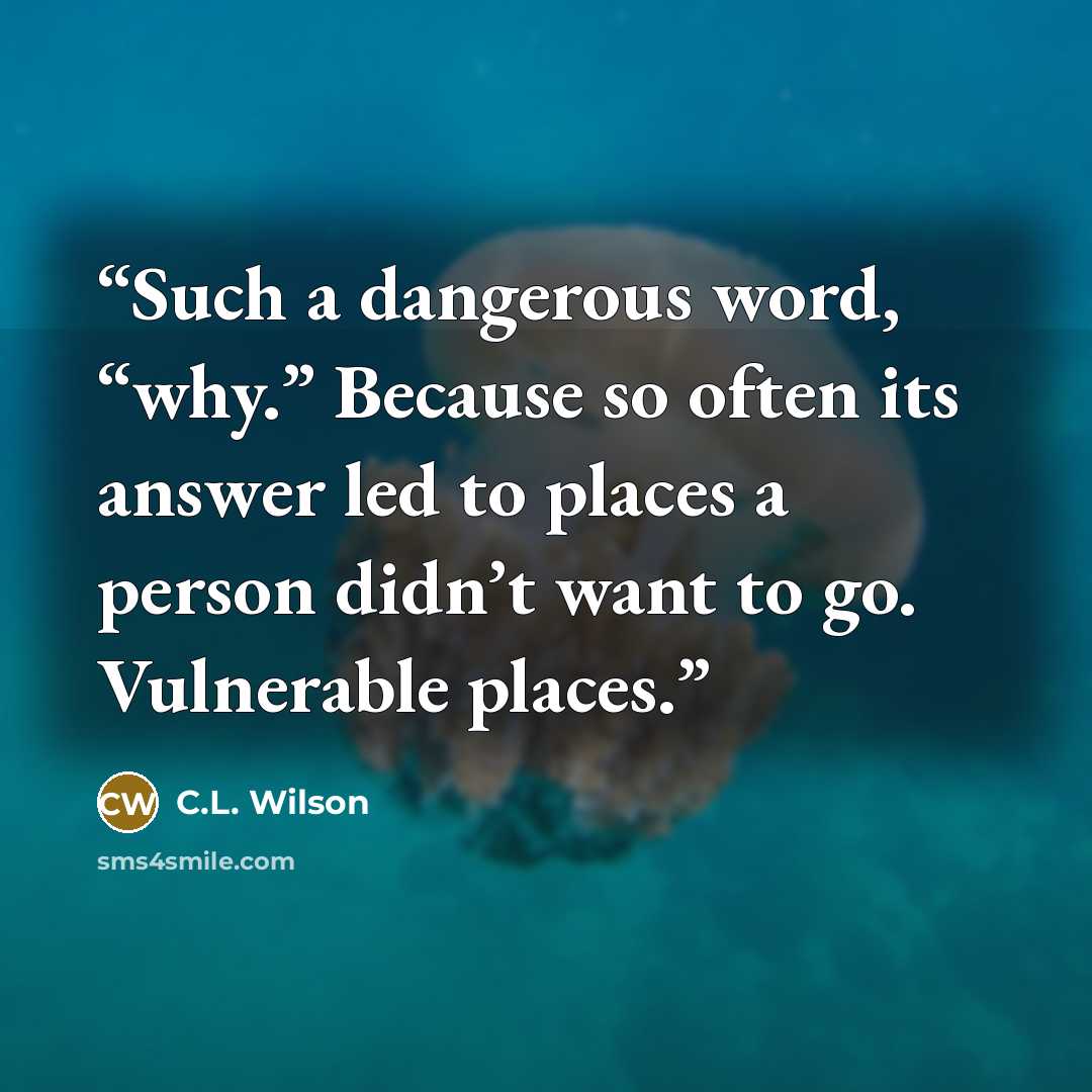 “Such a dangerous word, “why.” Because so often its answer led to places a person didn’t want to go. Vulnerable places.” quote by C.L. Wilson