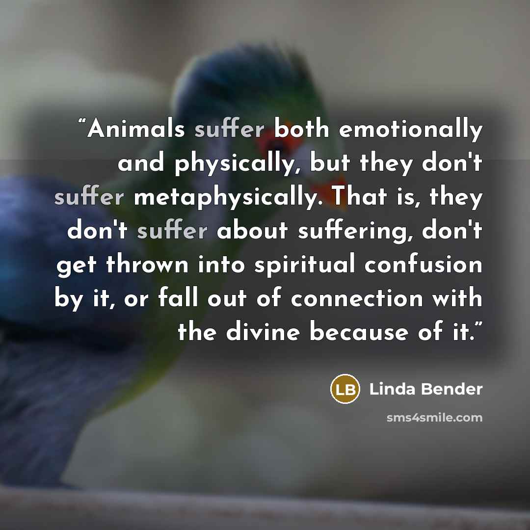 “Animals suffer both emotionally and physically, but they don't suffer metaphysically. That is, they don't suffer about suffering, don't get thrown into spiritual confusion by it, or fall out of connection with the divine because of it.” quote by Linda Bender