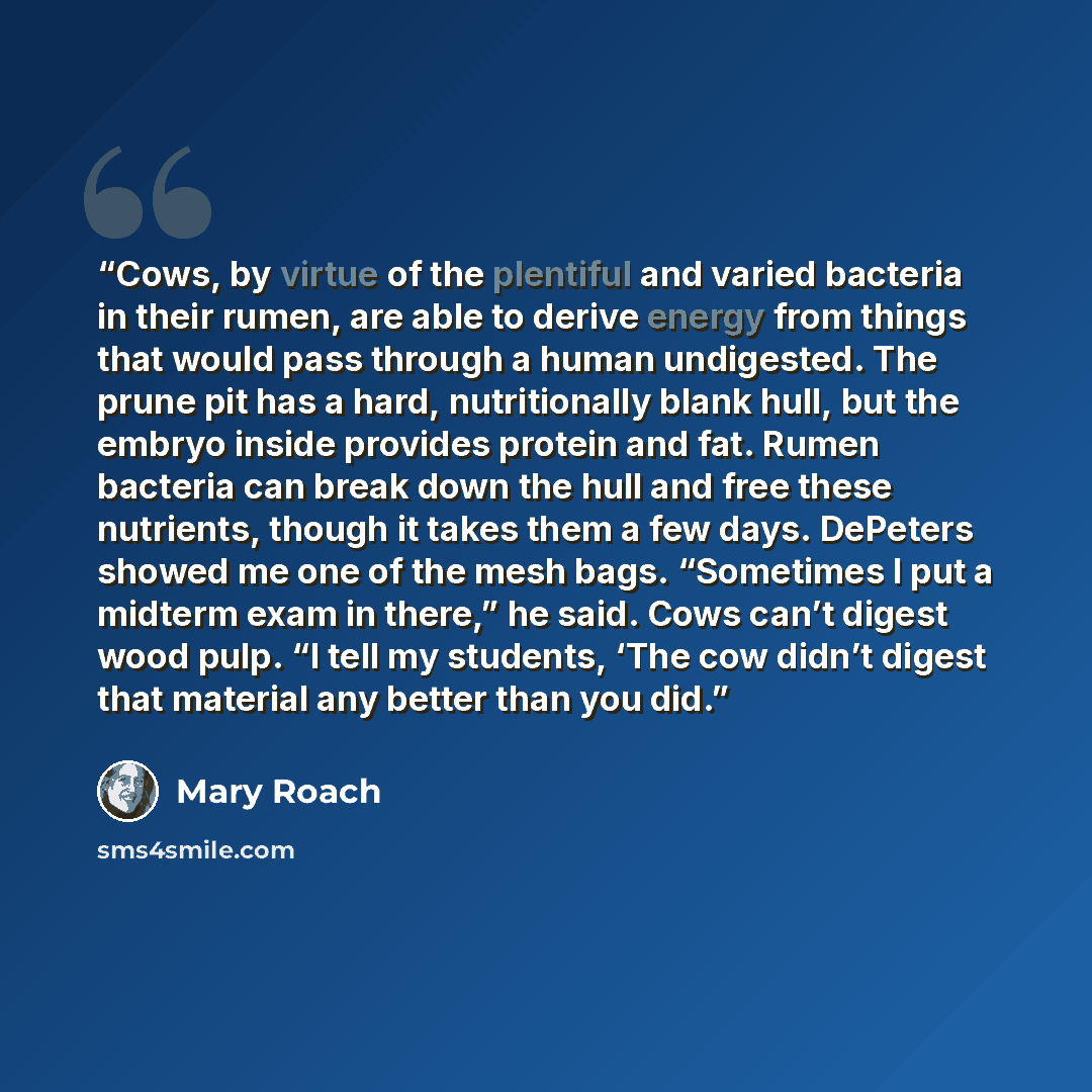 “Cows, by virtue of the plentiful and varied bacteria in their rumen, are able to derive energy from things that would pass through a human undigested. The prune pit has a hard, nutritionally blank hull, but the embryo inside provides protein and fat. Rumen bacteria can break down the hull and free…” quote by Mary Roach