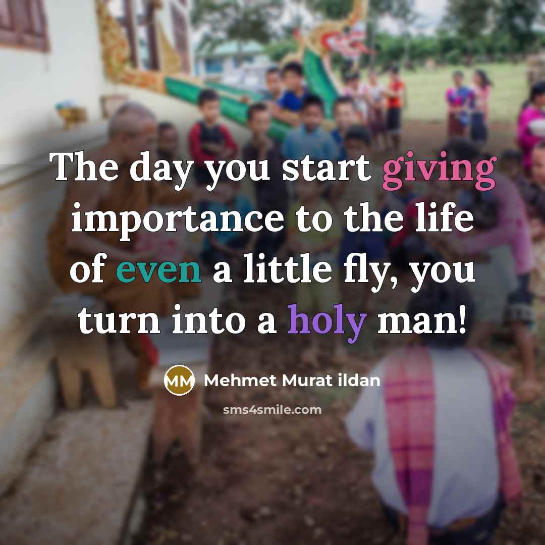 “The day you start giving importance to the life of even a little fly, you turn into a holy man!” quote by Mehmet Murat Ildan