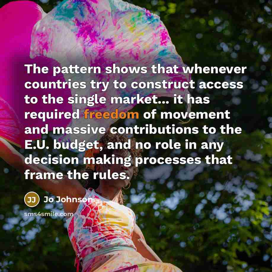 “The pattern shows that whenever countries try to construct access to the single market... it has required freedom of movement and massive contributions to the E.U. budget, and no role in any decision making processes that frame the rules.” quote by Jo Johnson