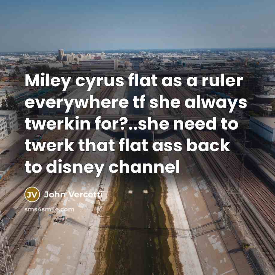 “Miley cyrus flat as a ruler everywhere tf she always twerkin for?..she need to twerk that flat ass back to disney channel” quote by John Vercetti
