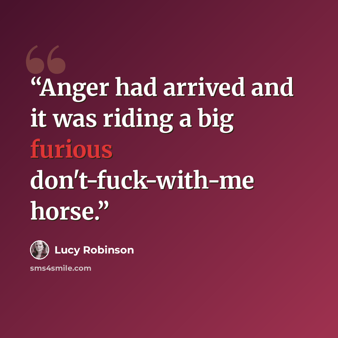 “Anger had arrived and it was riding a big furious don't-fuck-with-me horse.” quote by Lucy Robinson