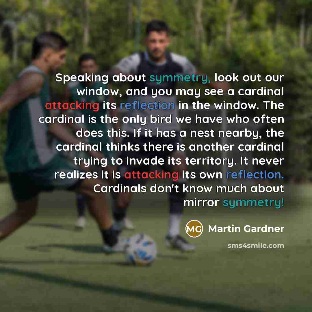 “Speaking about symmetry, look out our window, and you may see a cardinal attacking its reflection in the window. The cardinal is the only bird we have who often does this. If it has a nest nearby, the cardinal thinks there is another cardinal trying to invade its territory. It never realizes it is…” quote by Martin Gardner