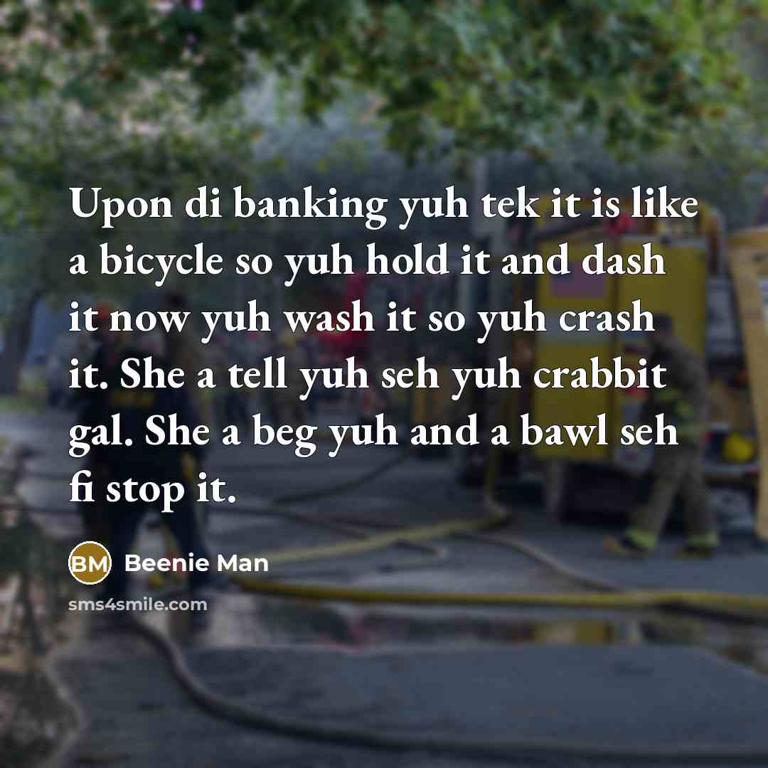“Upon di banking yuh tek it is like a bicycle so yuh hold it and dash it now yuh wash it so yuh crash it. She a tell yuh seh yuh crabbit gal. She a beg yuh and a bawl seh fi stop it.” quote by Beenie Man