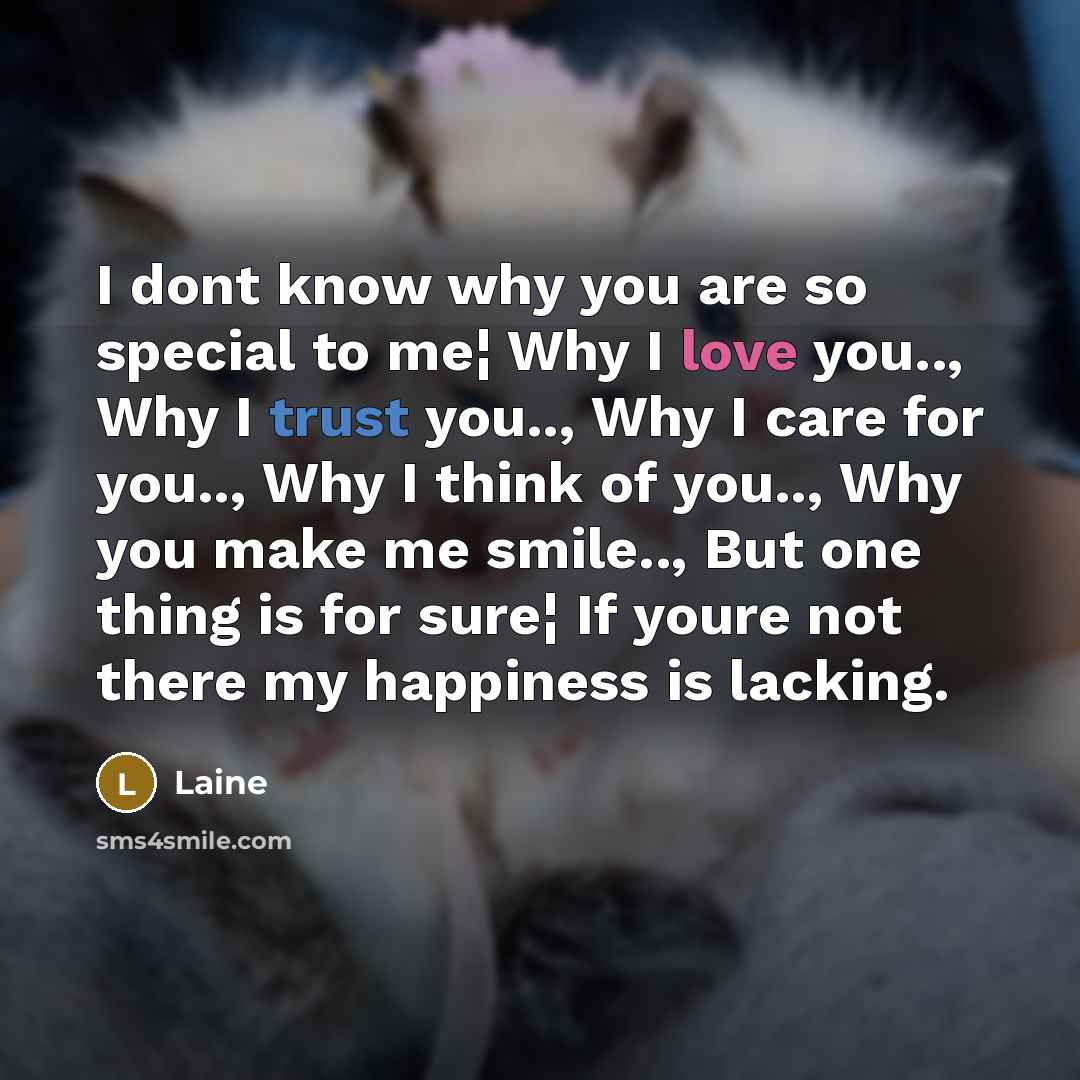 “I dont know why you are so special to me¦ Why I love you.., Why I trust you.., Why I care for you.., Why I think of you.., Why you make me smile.., But one thing is for sure¦ If youre not there my happiness is lacking.” quote by Laine