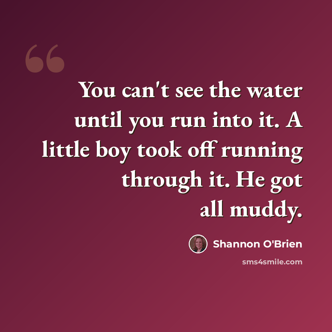 “You can't see the water until you run into it. A little boy took off running through it. He got all muddy.” quote by Shannon O'Brien