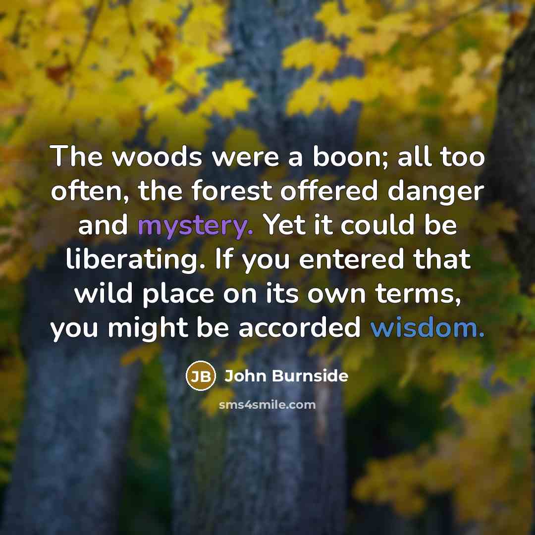 “The woods were a boon; all too often, the forest offered danger and mystery. Yet it could be liberating. If you entered that wild place on its own terms, you might be accorded wisdom.” quote by John Burnside