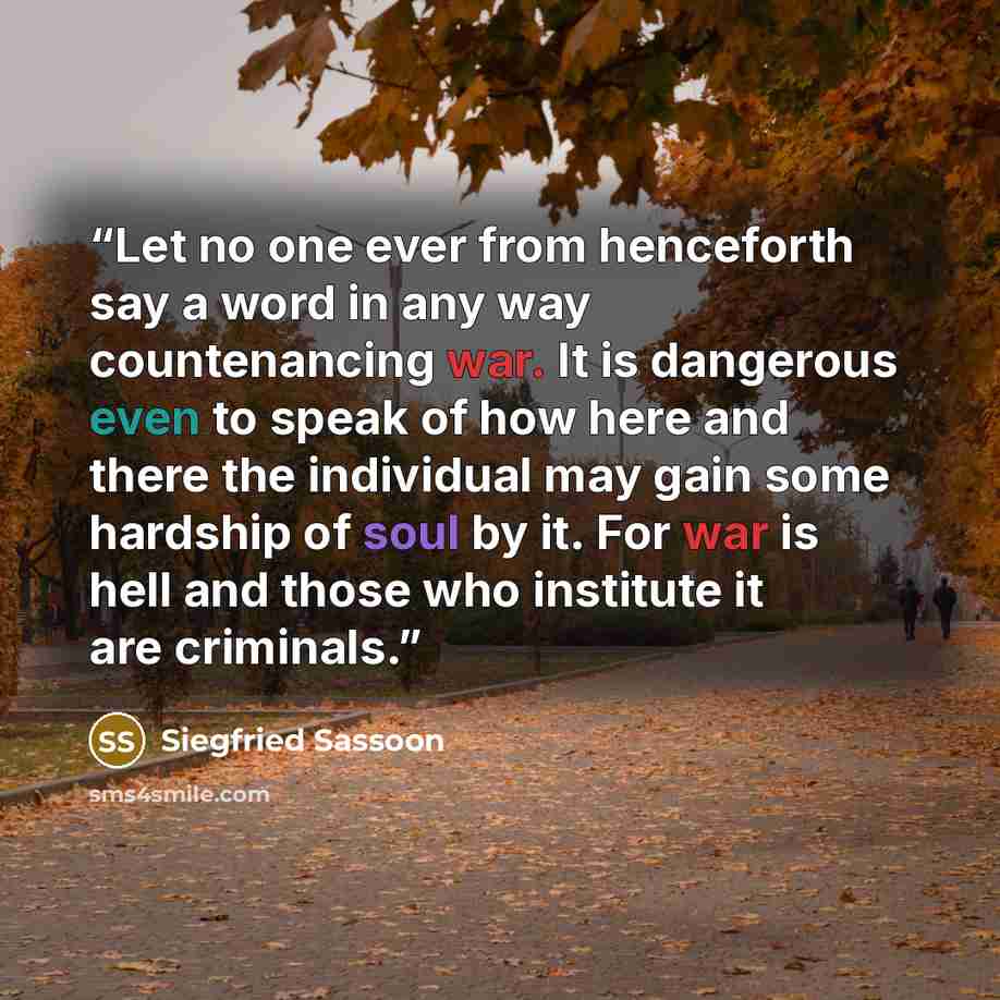 “Let no one ever from henceforth say a word in any way countenancing war. It is dangerous even to speak of how here and there the individual may gain some hardship of soul by it. For war is hell and those who institute it are criminals.” quote by Siegfried Sassoon