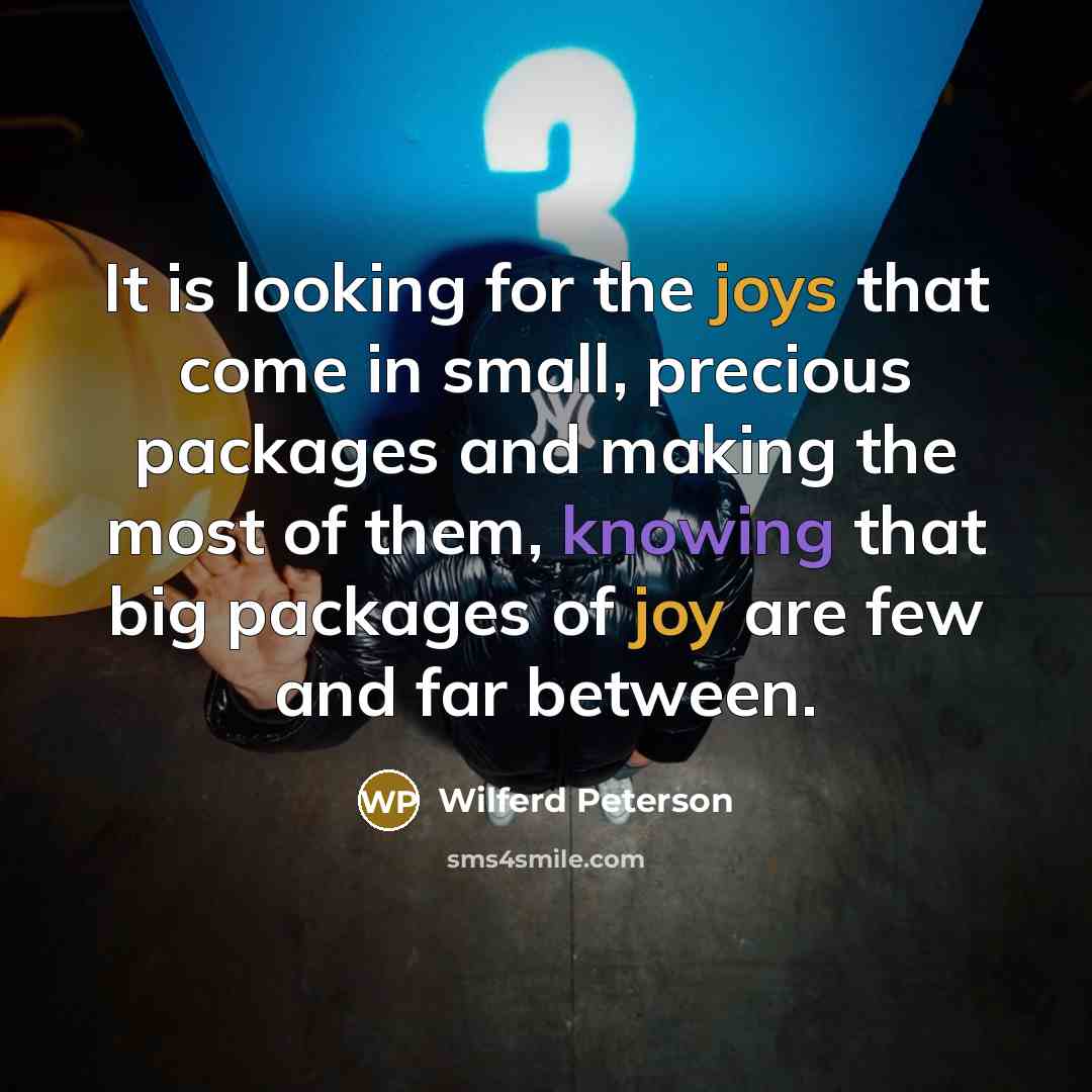 “It is looking for the joys that come in small, precious packages and making the most of them, knowing that big packages of joy are few and far between.” quote by Wilferd Peterson
