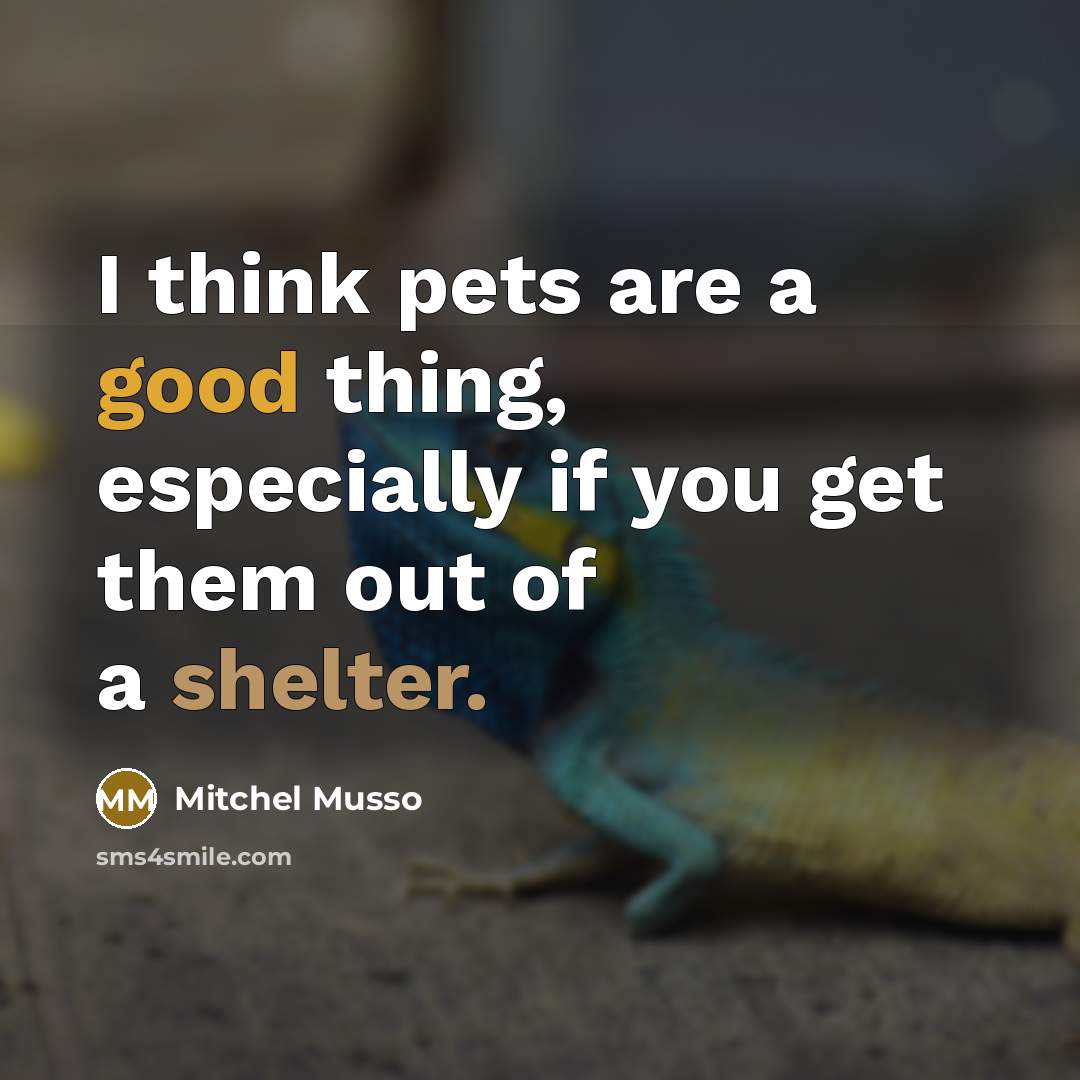 “I think pets are a good thing, especially if you get them out of a shelter.” quote by Mitchel Musso