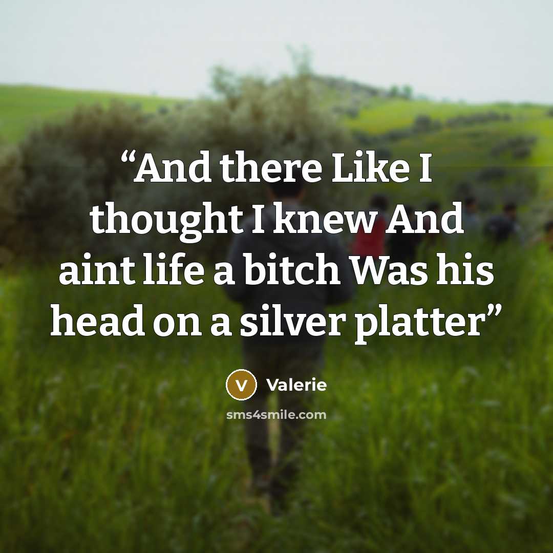 “And there Like I thought I knew And aint life a bitch Was his head on a silver platter” quote by Valerie