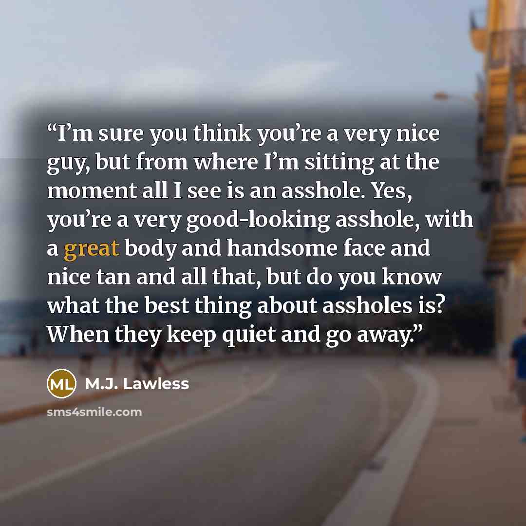 “I’m sure you think you’re a very nice guy, but from where I’m sitting at the moment all I see is an asshole. Yes, you’re a very good-looking asshole, with a great body and handsome face and nice tan and all that, but do you know what the best thing about assholes is? When they keep quiet and go…” quote by M.J. Lawless