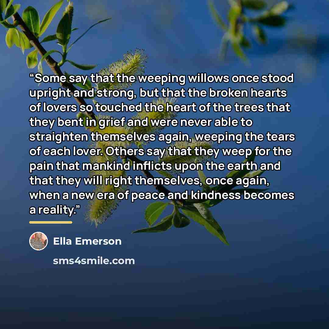 “Some say that the weeping willows once stood upright and strong, but that the broken hearts of lovers so touched the heart of the trees that they bent in grief and were never able to straighten themselves again, weeping the tears of each lover. Others say that they weep for the pain that mankind…” quote by Ella Emerson