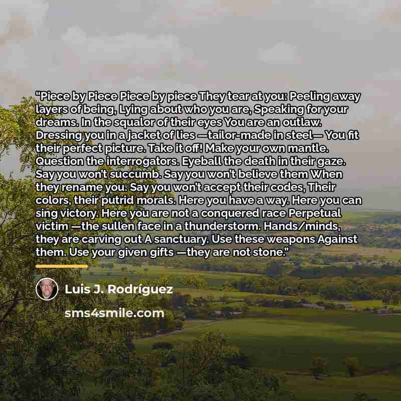 “Piece by Piece Piece by piece They tear at you: Peeling away layers of being, Lying about who you are, Speaking for your dreams. In the squalor of their eyes You are an outlaw. Dressing you in a jacket of lies —tailor-made in steel— You fit their perfect picture. Take it off! Make your own mantle…” quote by Luis J. Rodríguez
