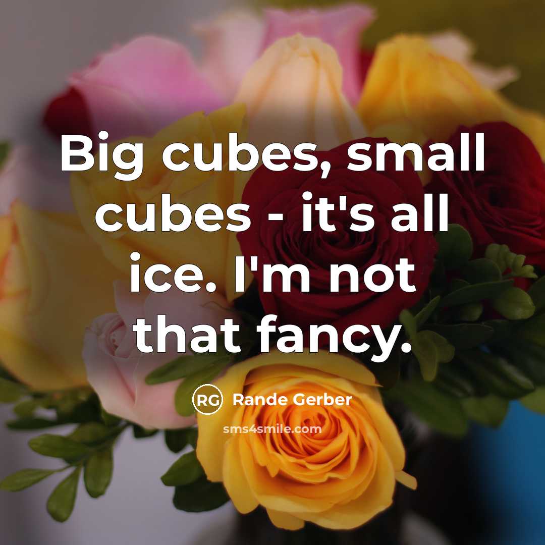 “Big cubes, small cubes - it's all ice. I'm not that fancy.” quote by Rande Gerber
