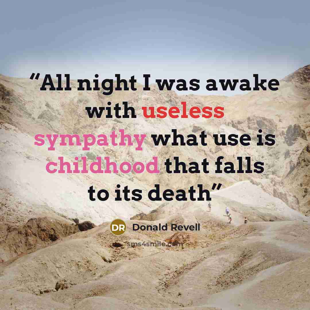 “All night I was awake with useless sympathy what use is childhood that falls to its death” quote by Donald Revell