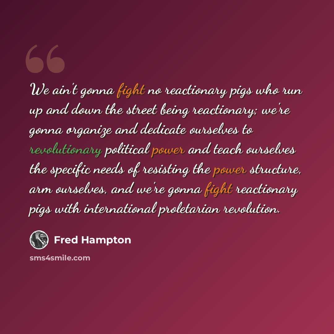 “We ain't gonna fight no reactionary pigs who run up and down the street being reactionary; we're gonna organize and dedicate ourselves to revolutionary political power and teach ourselves the specific needs of resisting the power structure, arm ourselves, and we're gonna fight reactionary pigs…” quote by Fred Hampton